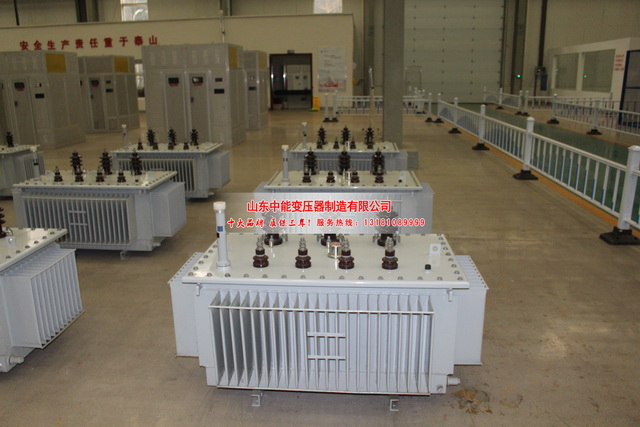 冀州S20变压器